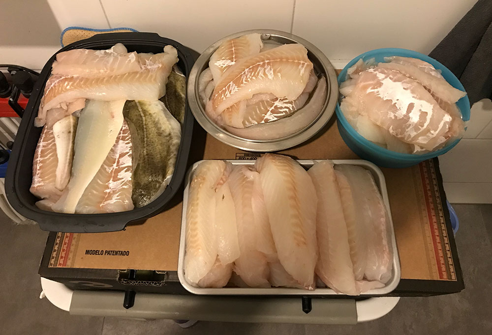 valkyrie zeehengelsport filets