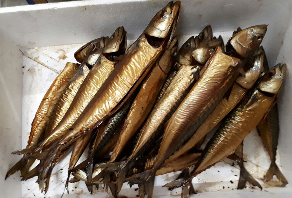 valkyrie zeehengelsport gerookt